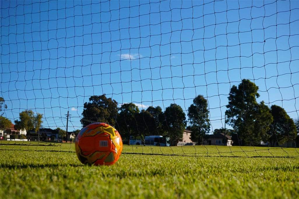 Ball Stop Barrier Nets with 2 Support Posts - 40mm sq - Image 21