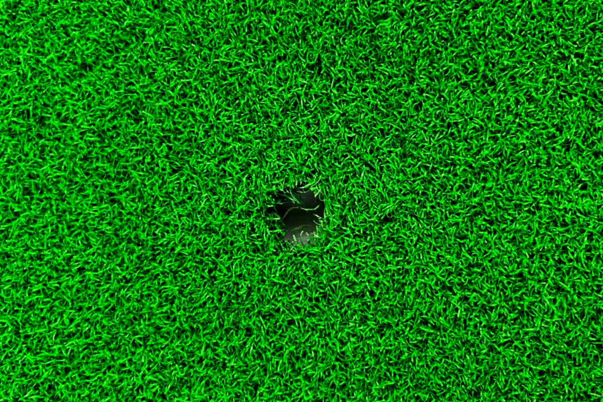Medium Golf Mat - 120cm x 91cm - Image 8